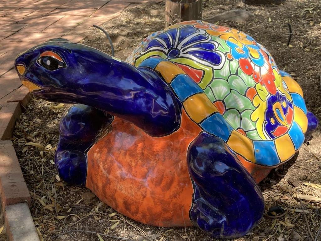 Casa Azul - Cute Centrally Located Adobe With Large Fenced Outdoor Living For Pets And Adults, Non-Smoking Tucson Esterno foto