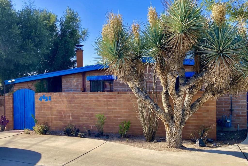 Casa Azul - Cute Centrally Located Adobe With Large Fenced Outdoor Living For Pets And Adults, Non-Smoking Tucson Esterno foto